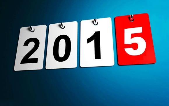 2015 New Year
