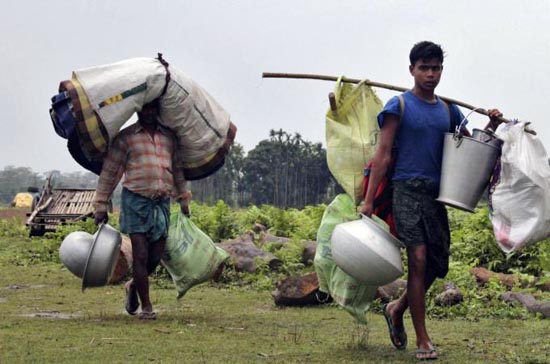 Assam Killing