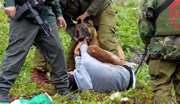 Israel Child Abuse