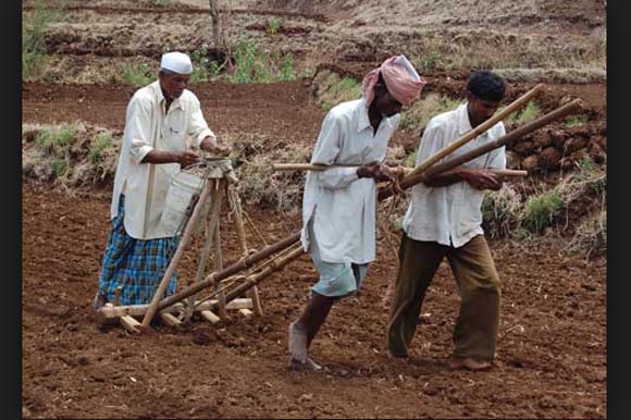 Maharsahtra farmers