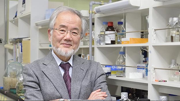 Yoshinori Ohsumi