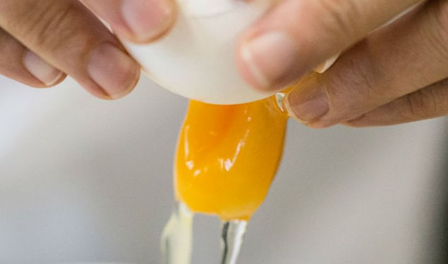 Egg Scandal