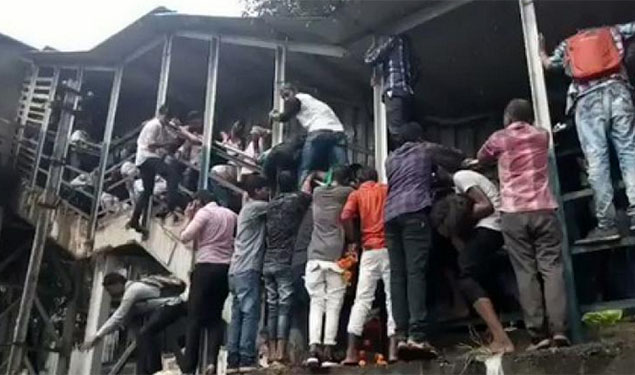 Elphinstone Stampede