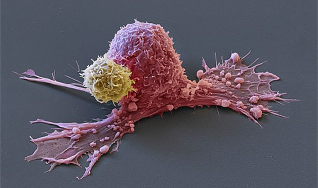 Cancer Cell Drones