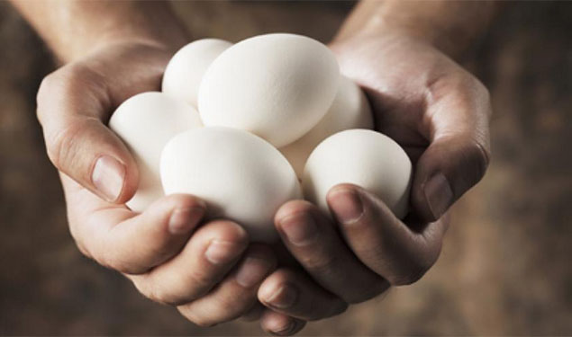 Pregnancy Diet Chart