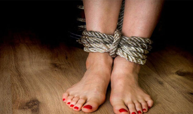 Law criminlasing sex buyers