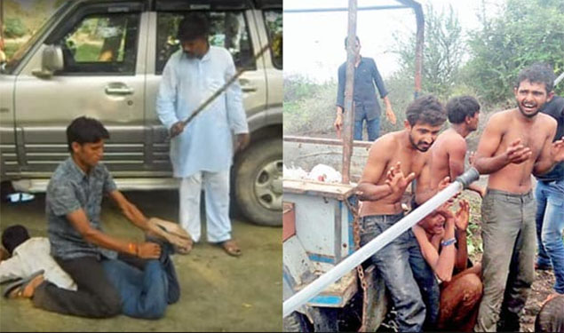 Cow Vigilantism