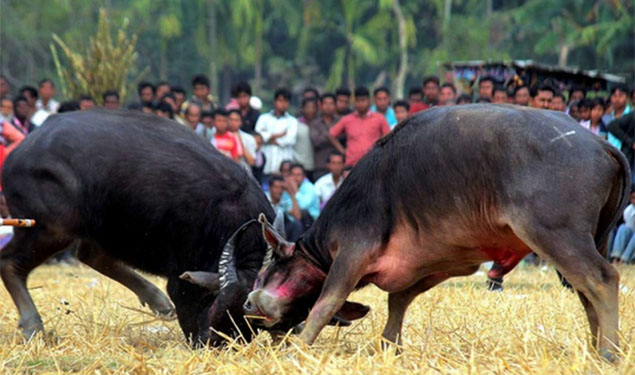 Muslim Lynched in Jharkhand