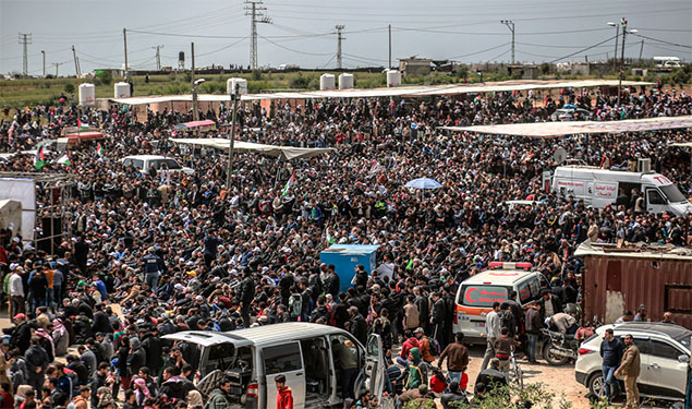 Palestine News