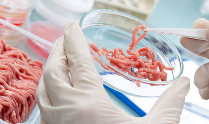 Cow Meat DNA Test