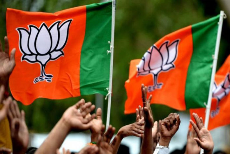 BJP Source of Income
