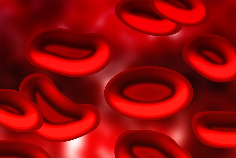 Blood Plasma Therapy