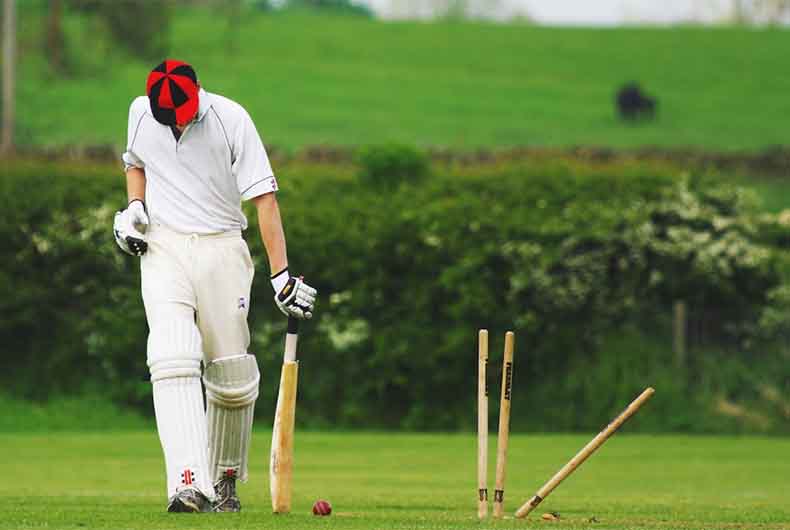 Brahmin Cricket