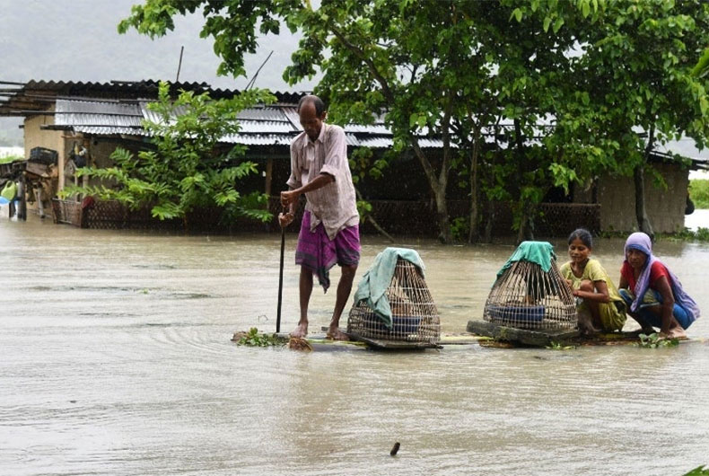Assam Flood