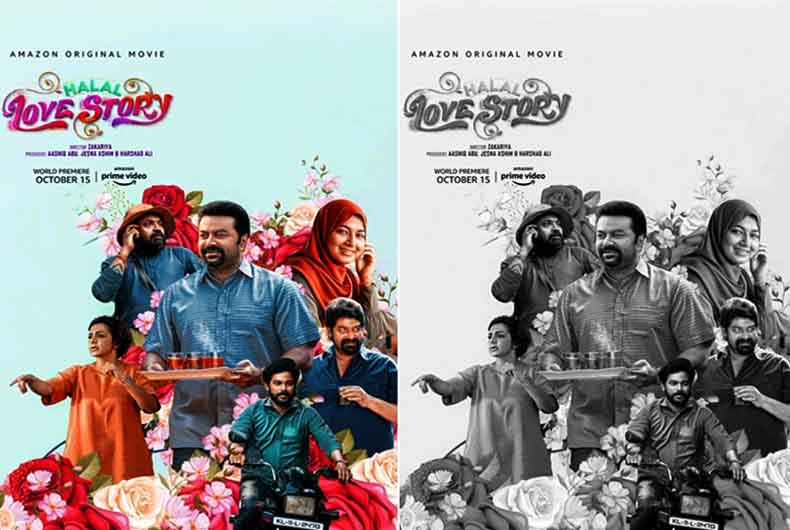 Halal Love Story Review