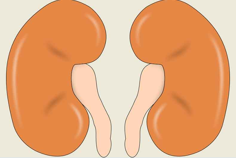 Covid patients with Kidney disease