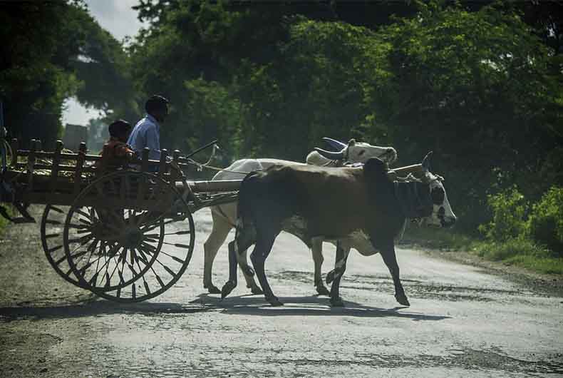 Farm Bills Become Law