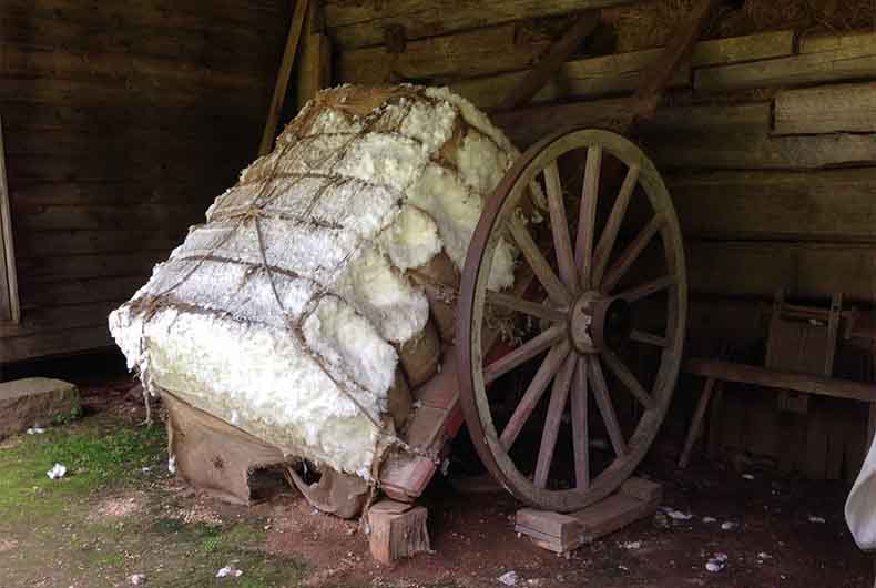 Cotton Yarn