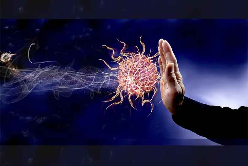 Immune System