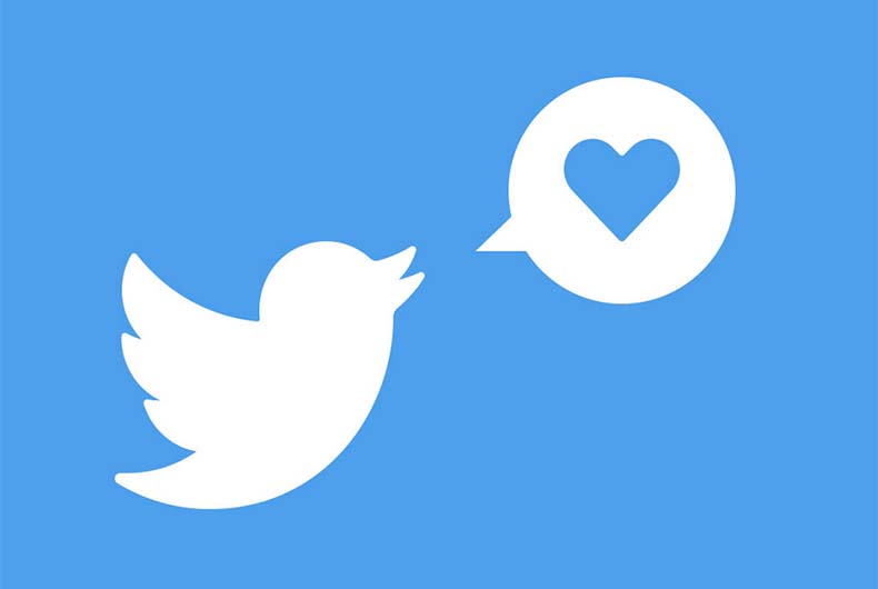 Twitter vs Indian Govt