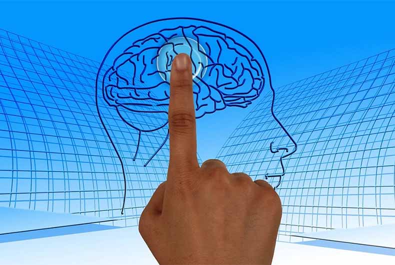 Research on brain