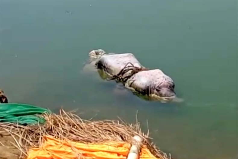 Dead Bodies thrown in Ganga