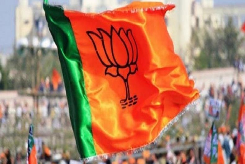 BJP faces a new challenger from within: Hindutva groups