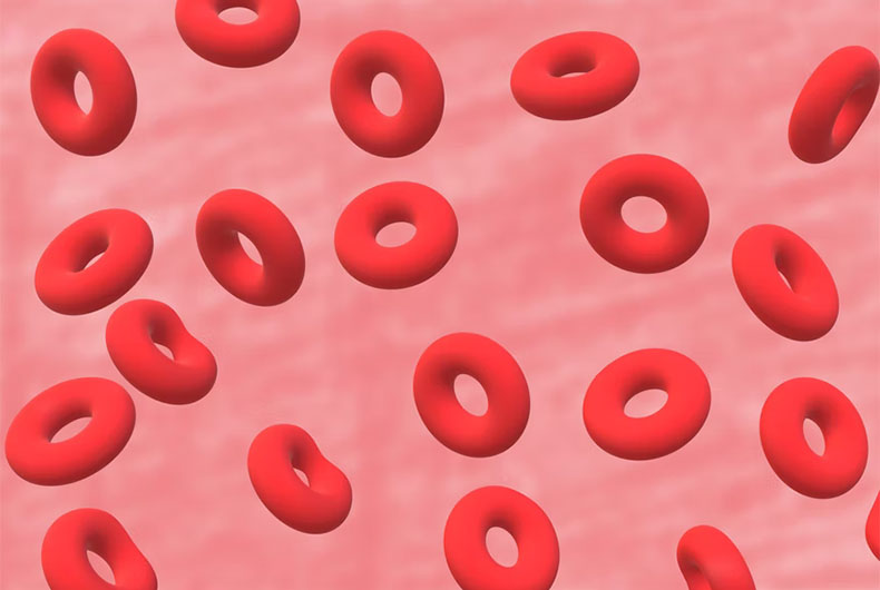 Red Blood Cell