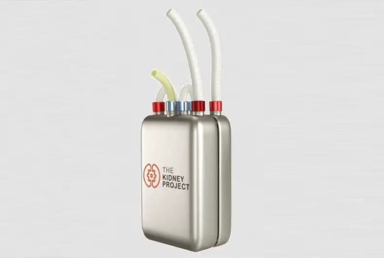 Pacemaker like bioartificial kidney to make dialysis redundant soon