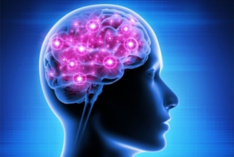 Gender inequality may shrink women's brain: Study