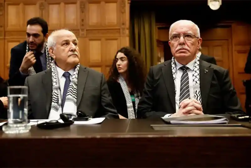 Palestinians have endured more than their share of agony: Top UN Court told