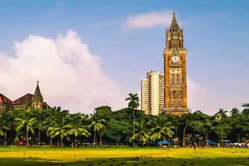 Mumbai University Admission 2024: Direct Link to Check Merit List