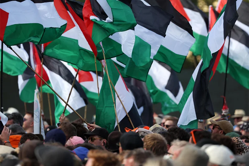 Is Palestinian Flag Banned in India?