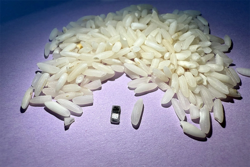Developed: World’s Tiniest Injectable, Dissolvable Pacemaker