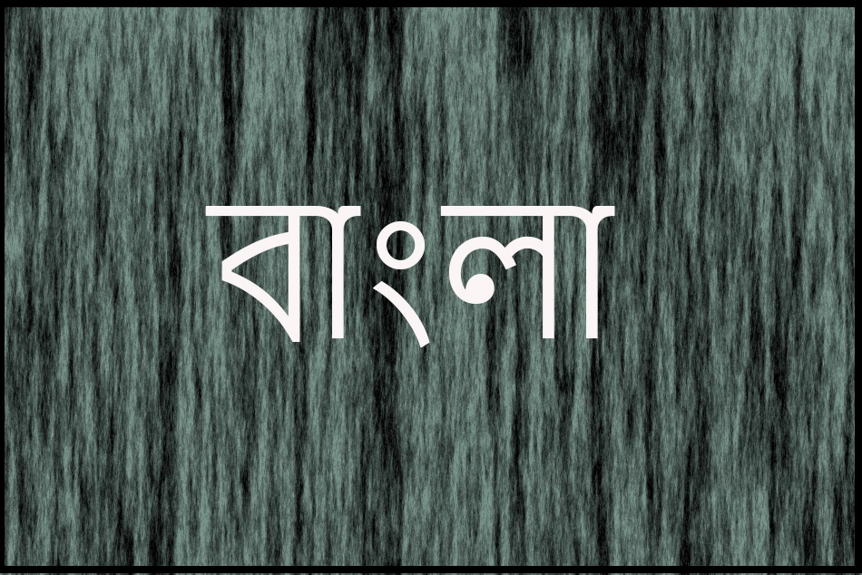 Why are Bengali Lives so Cheap?