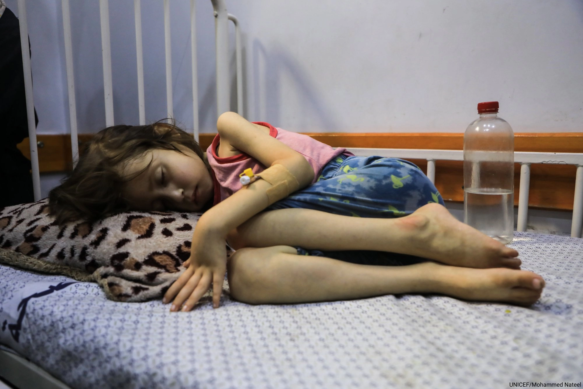 Gaza: Bombardment, Genocide, Famine and Enduring Struggle of Life