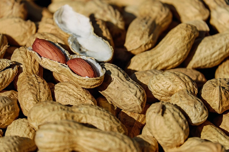 Peanuts in Your Diet Can Keep Doctor Away